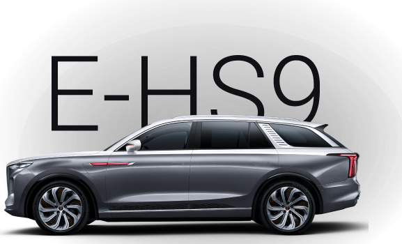E-HS9 Бизнес (Executive)