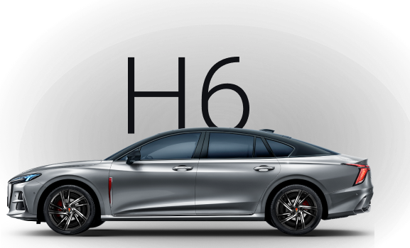 H6 Делюкс (Deluxe)