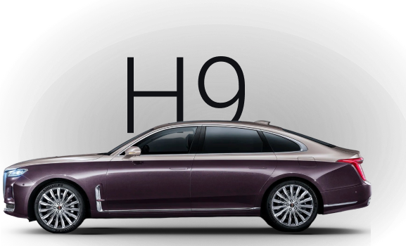 H9 Делюкс (Deluxe)