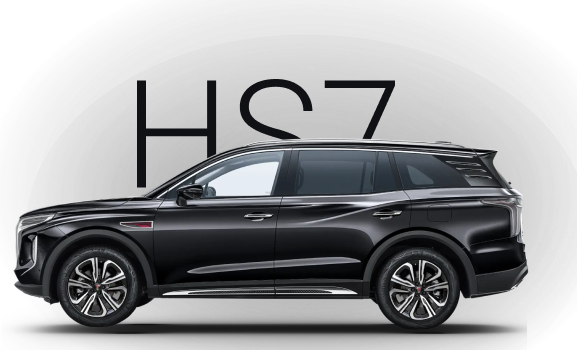 HS7 Делюкс (Deluxe)
